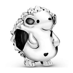 Nino The Hedgehog Charm - Not Pandora